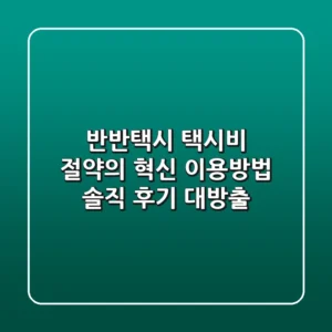 반반택시 택시비 절약의 혁신 이용방법 솔직 후기 대방출