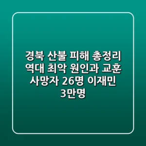 경북 산불 피해 총정리 역대 최악 원인과 교훈 사망자 26명 이재민 3만명