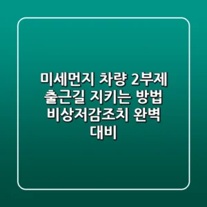 미세먼지 차량 2부제 출근길 지키는 방법 비상저감조치 완벽 대비
