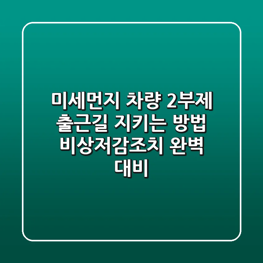 미세먼지 차량 2부제 출근길 지키는 방법 비상저감조치 완벽 대비