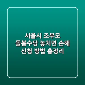 서울시 조부모 돌봄수당 놓치면 손해 신청 방법 총정리