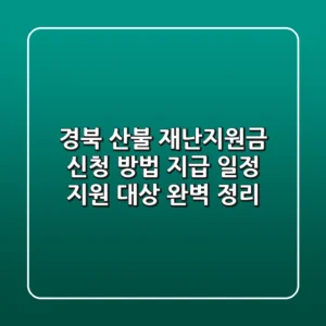 경북 산불 재난지원금: 신청 방법, 지급 일정, 지원 대상 완벽 정리!