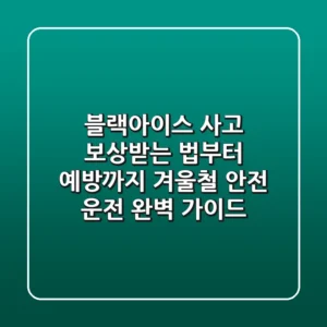 블랙아이스 사고, 보상받는 법부터 예방까지! 겨울철 안전 운전 완벽 가이드