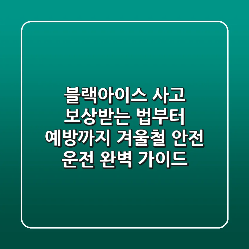 블랙아이스 사고, 보상받는 법부터 예방까지! 겨울철 안전 운전 완벽 가이드