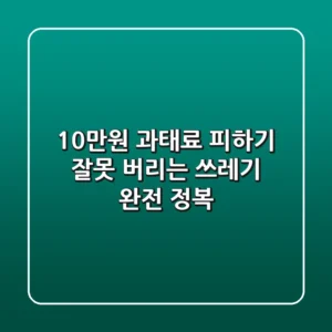 10만원 과태료 피하기! 잘못 버리는 쓰레기 완전 정복