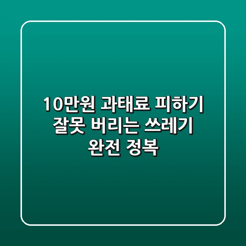 10만원 과태료 피하기! 잘못 버리는 쓰레기 완전 정복