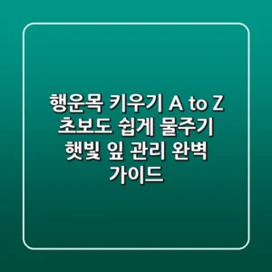 행운목 키우기 A to Z | 초보도 쉽게! 물주기, 햇빛, 잎 관리 완벽 가이드