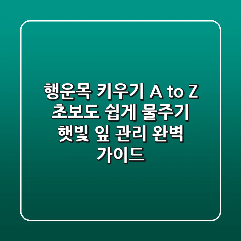행운목 키우기 A to Z | 초보도 쉽게! 물주기, 햇빛, 잎 관리 완벽 가이드