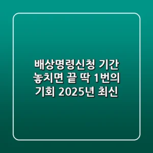 🚨 배상명령신청 기간, 놓치면 끝! 딱 1번의 기회 (2025년 최신)