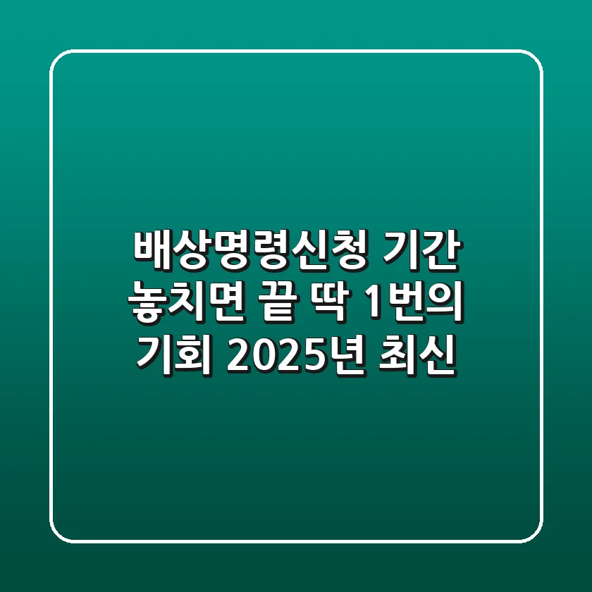 🚨 배상명령신청 기간, 놓치면 끝! 딱 1번의 기회 (2025년 최신)