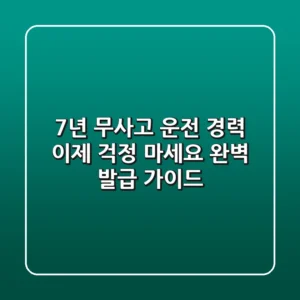 7년 무사고 운전 경력, 이제 걱정 마세요! 완벽 발급 가이드