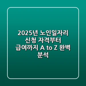2025년 노인일자리: 신청 자격부터 급여까지, A to Z 완벽 분석!