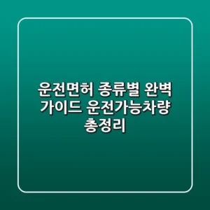 운전면허 종류별 완벽 가이드: 운전가능차량 총정리! 🚗