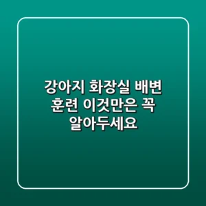 강아지 화장실 배변 훈련, 이것만은 꼭 알아두세요!
