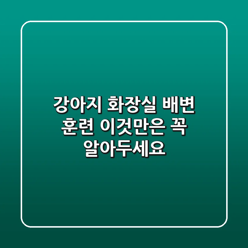 강아지 화장실 배변 훈련, 이것만은 꼭 알아두세요!