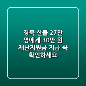 경북 산불, 27만 명에게 30만 원 재난지원금 지급! 꼭 확인하세요