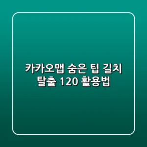 카카오맵 숨은 팁: 길치 탈출, 120% 활용법