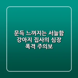 문득 느껴지는 서늘함? 강아지 집사의 심장 폭격 주의보!