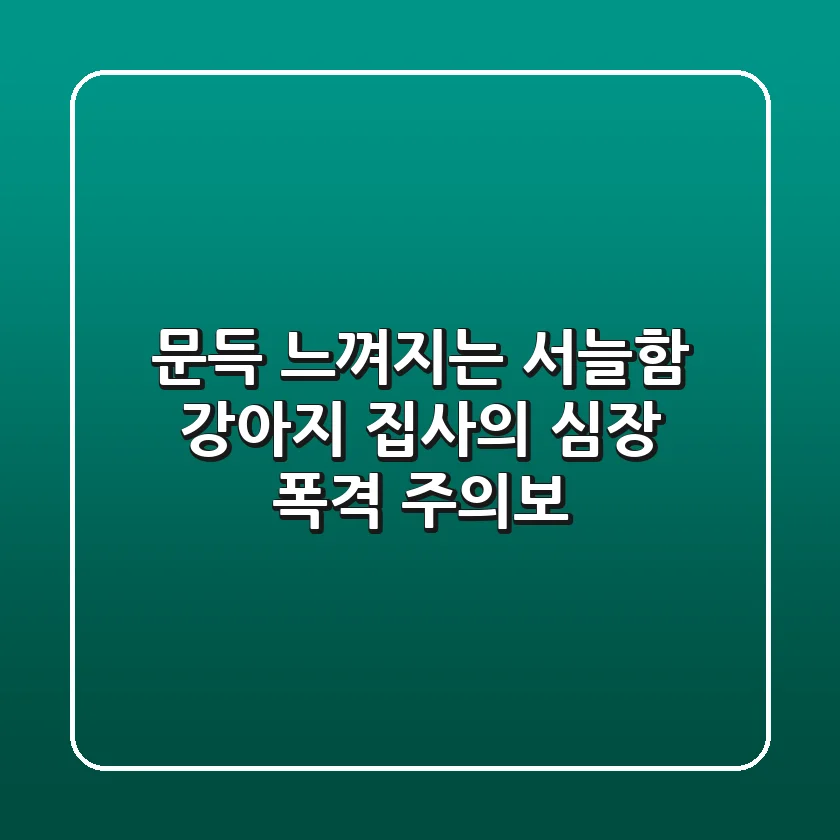 문득 느껴지는 서늘함? 강아지 집사의 심장 폭격 주의보!