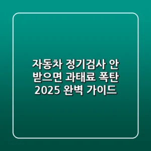 자동차 정기검사, 안 받으면 과태료 폭탄?! 2025 완벽 가이드