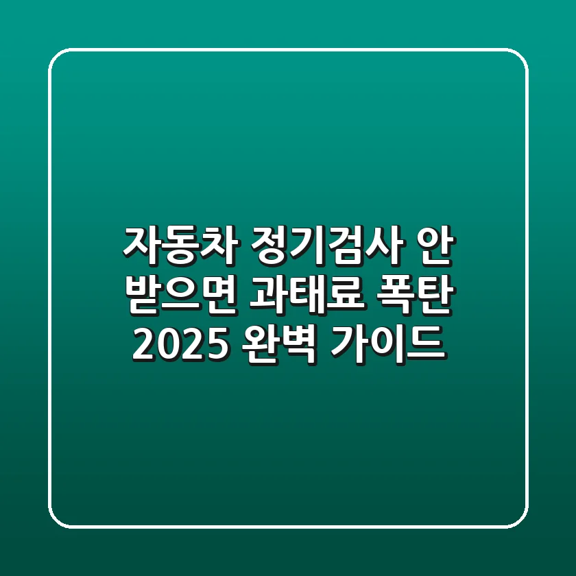 자동차 정기검사, 안 받으면 과태료 폭탄?! 2025 완벽 가이드