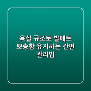 욕실 규조토 발매트, 뽀송함 유지하는 간편 관리법