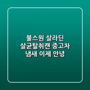 불스원 살라딘 살균탈취캔: 중고차 냄새, 이제 안녕!