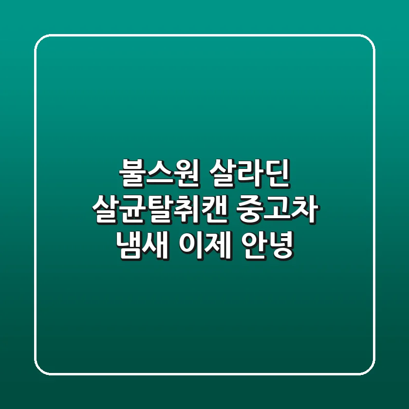불스원 살라딘 살균탈취캔: 중고차 냄새, 이제 안녕!