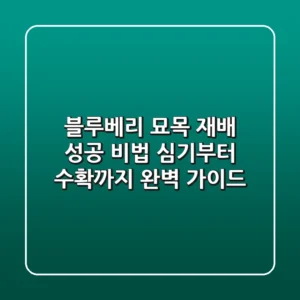 블루베리 묘목 재배 성공 비법: 심기부터 수확까지 완벽 가이드