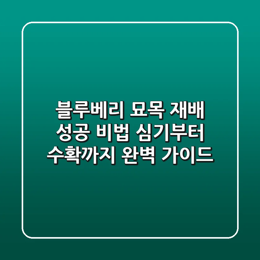 블루베리 묘목 재배 성공 비법: 심기부터 수확까지 완벽 가이드