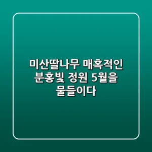 미산딸나무: 매혹적인 분홍빛 정원, 5월을 물들이다