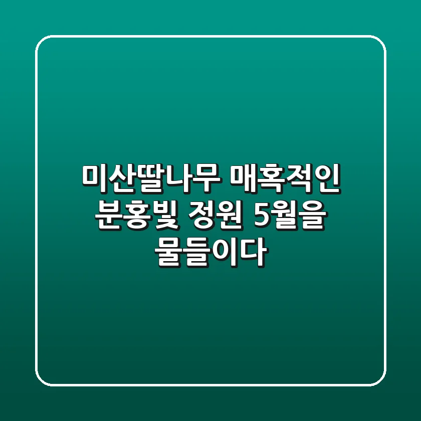 미산딸나무: 매혹적인 분홍빛 정원, 5월을 물들이다