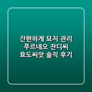 간편하게 묘지 관리! 푸르네오 잔디씨 효도씨앗 솔직 후기