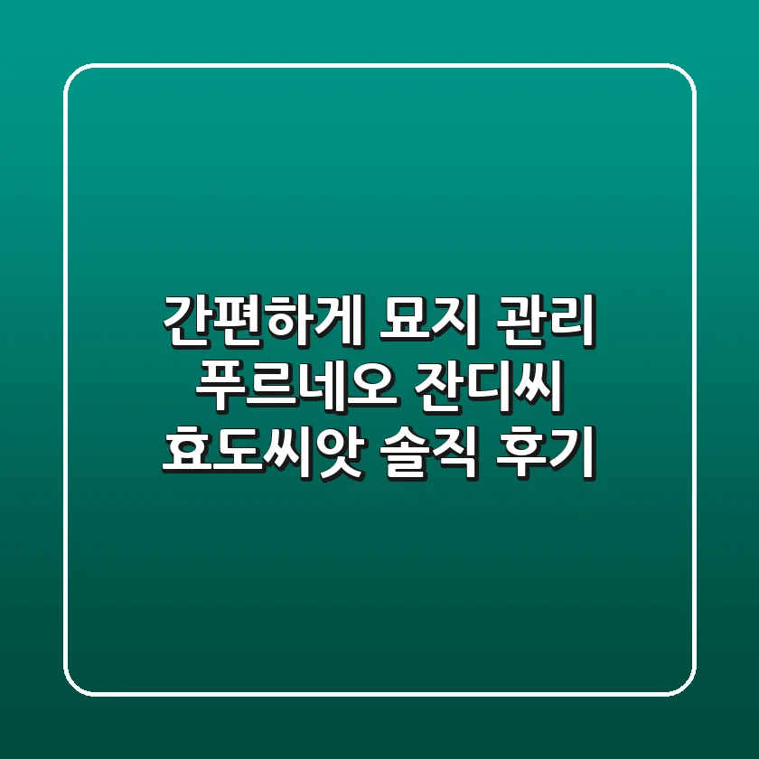간편하게 묘지 관리! 푸르네오 잔디씨 효도씨앗 솔직 후기