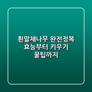 흰말채나무 완전정복: 효능부터 키우기 꿀팁까지!
