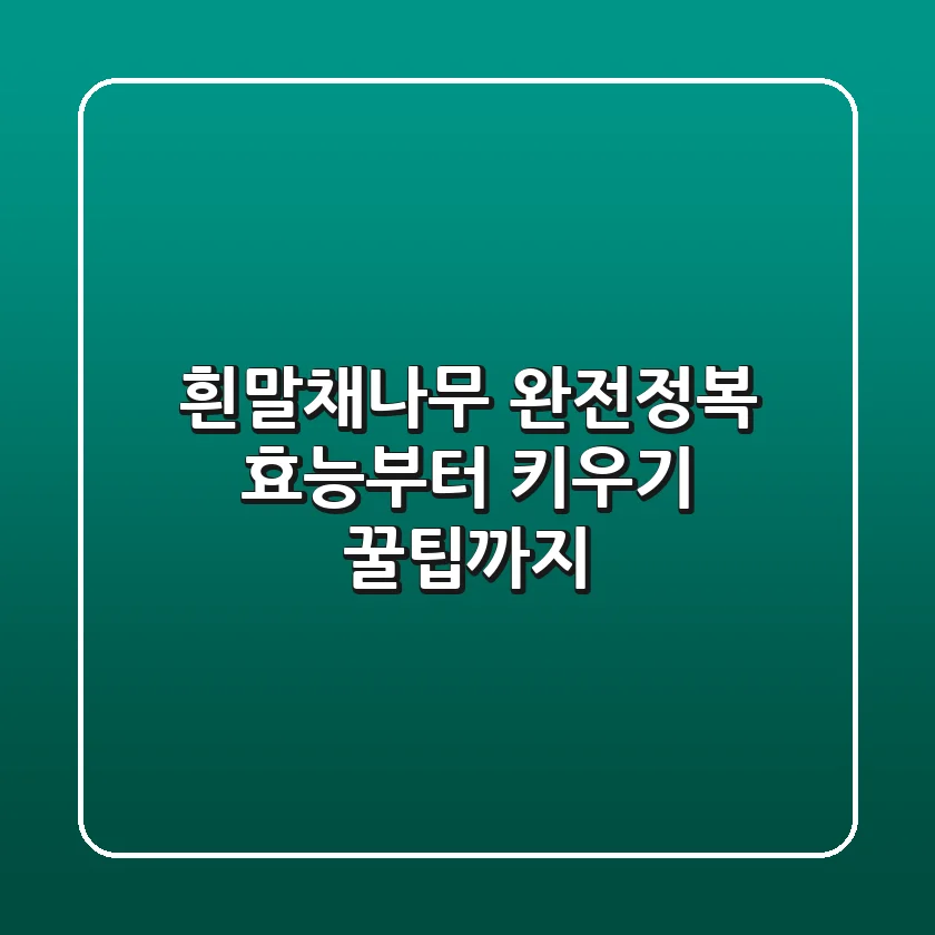 흰말채나무 완전정복: 효능부터 키우기 꿀팁까지!
