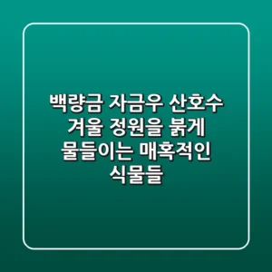 백량금, 자금우, 산호수: 겨울 정원을 붉게 물들이는 매혹적인 식물들