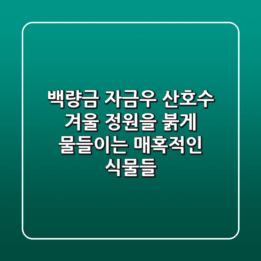 백량금, 자금우, 산호수: 겨울 정원을 붉게 물들이는 매혹적인 식물들