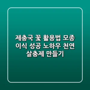 제충국 꽃 활용법: 모종 이식 성공 노하우 & 천연 살충제 만들기