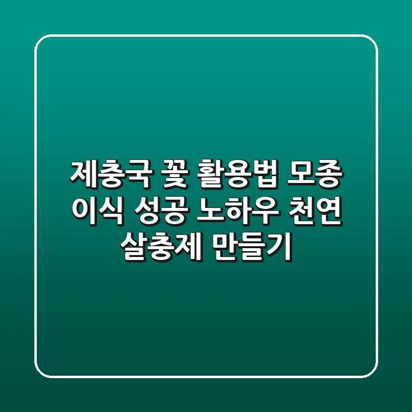 제충국 꽃 활용법: 모종 이식 성공 노하우 & 천연 살충제 만들기