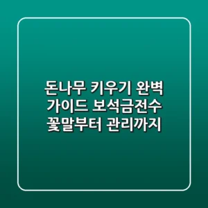 돈나무 키우기 완벽 가이드: 보석금전수 꽃말부터 관리까지!