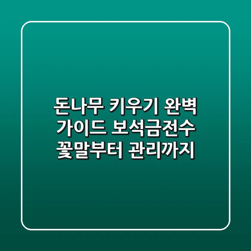 돈나무 키우기 완벽 가이드: 보석금전수 꽃말부터 관리까지!