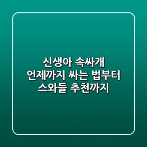 신생아 속싸개, 언제까지? 싸는 법부터 스와들 추천까지!