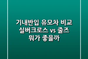 기내반입 유모차 비교: 실버크로스 vs 줄즈, 뭐가 좋을까?