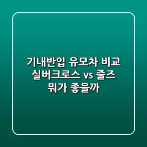 기내반입 유모차 비교: 실버크로스 vs 줄즈, 뭐가 좋을까?