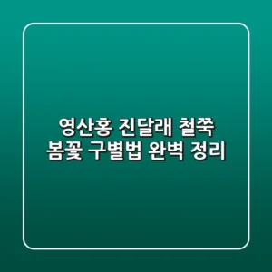 영산홍 진달래 철쭉, 봄꽃 구별법 완벽 정리!🌸