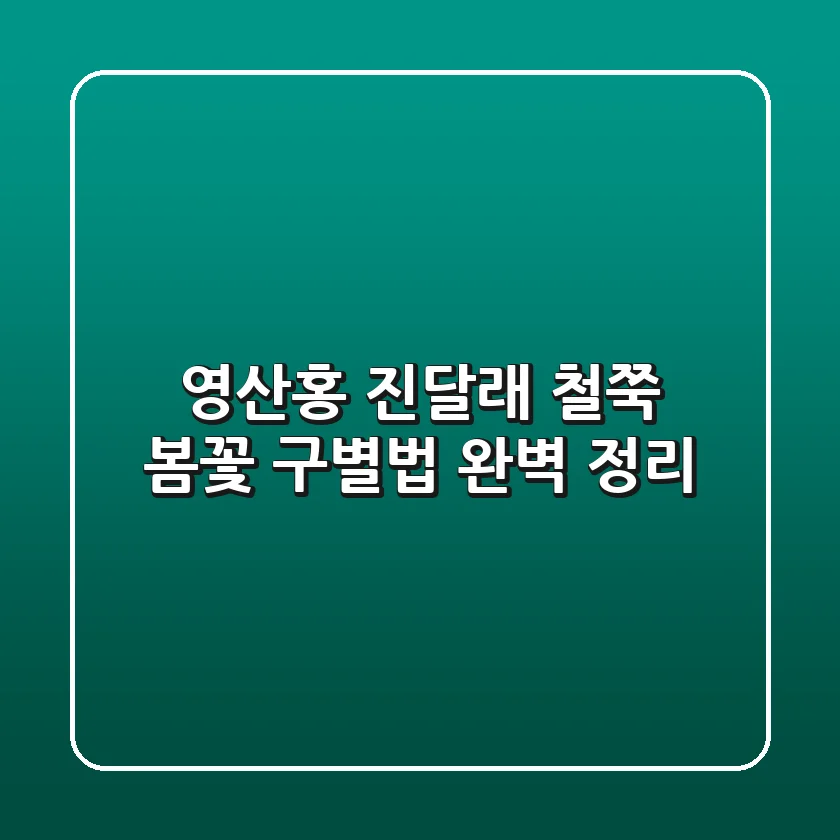영산홍 진달래 철쭉, 봄꽃 구별법 완벽 정리!🌸
