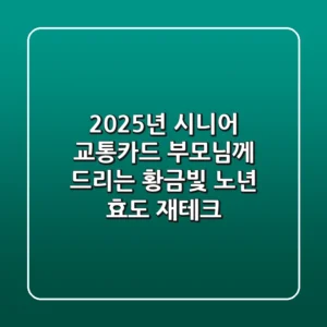 2025년 시니어 교통카드: 부모님께 드리는 황금빛 노년 효도 재테크