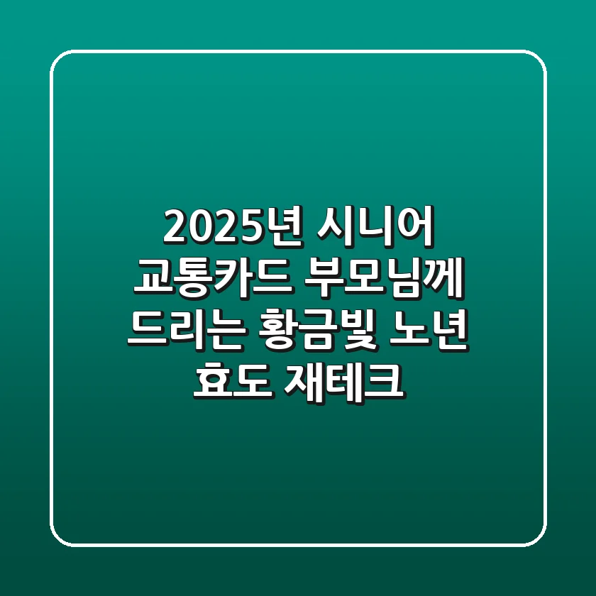 2025년 시니어 교통카드: 부모님께 드리는 황금빛 노년 효도 재테크
