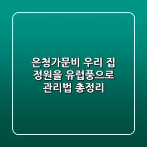 🏡 은청가문비, 우리 집 정원을 유럽풍으로! 관리법 총정리